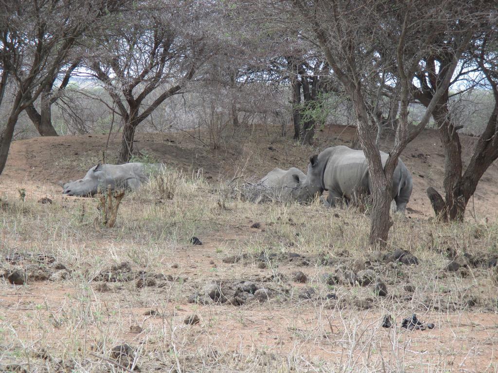 Tshukudu Game Lodge - Hoedspruit Buitenkant foto
