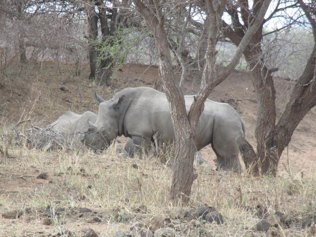 Tshukudu Game Lodge - Hoedspruit Buitenkant foto