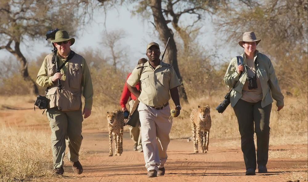 Tshukudu Game Lodge - Hoedspruit Buitenkant foto