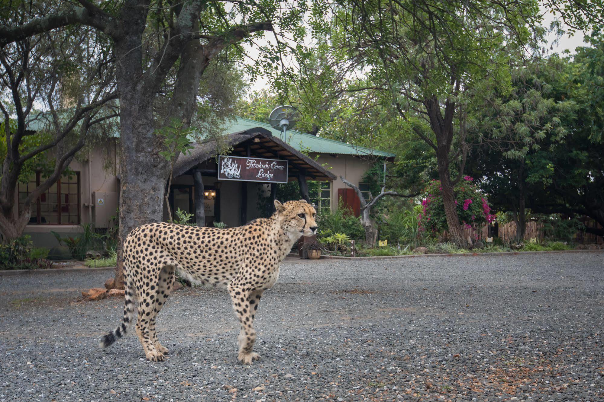 Tshukudu Game Lodge - Hoedspruit Buitenkant foto