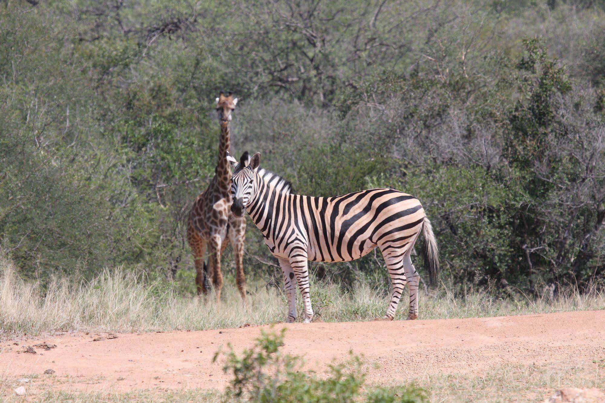 Tshukudu Game Lodge - Hoedspruit Buitenkant foto